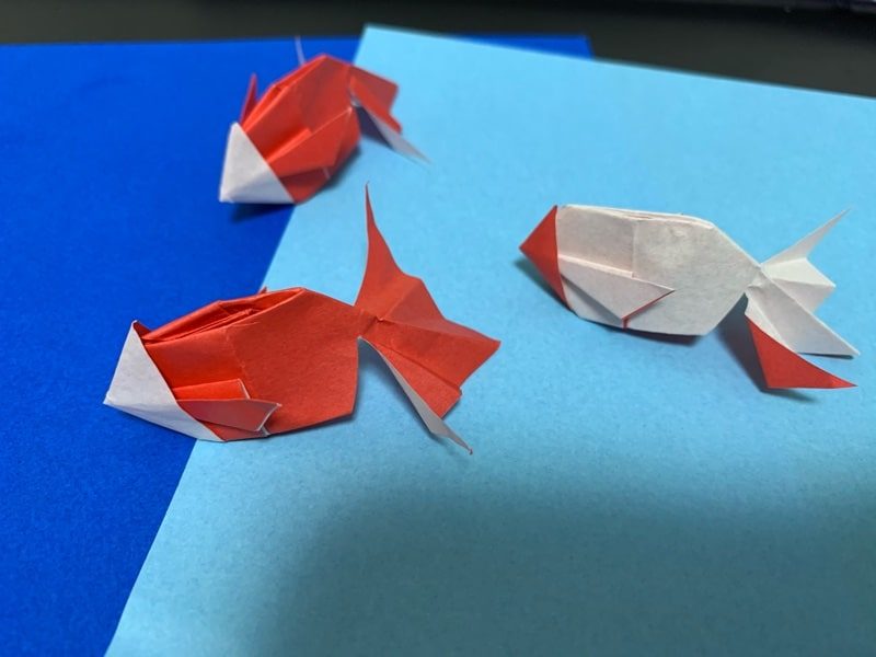 夏の折り紙は可愛い立体金魚の作り方 夏祭りの飾り付け